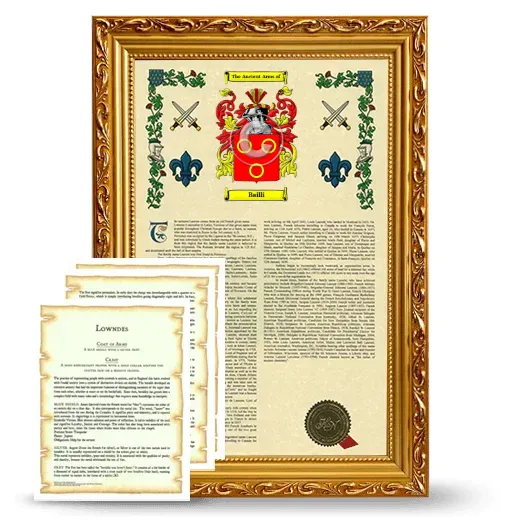 Bailli Framed Armorial History and Symbolism - Gold