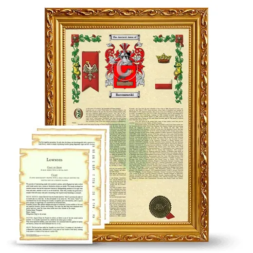 Baronowski Framed Armorial History and Symbolism - Gold
