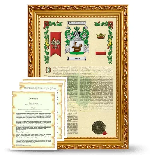 Bartoš Framed Armorial History and Symbolism - Gold