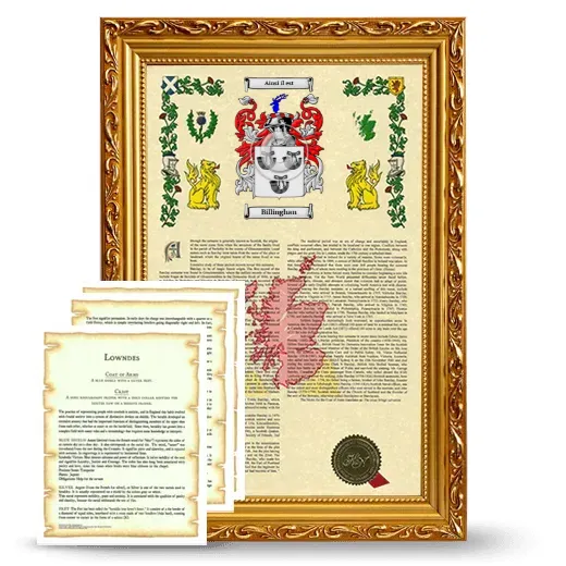 Billinghan Framed Armorial History and Symbolism - Gold