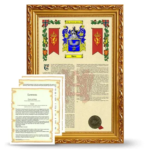 Bjørn Framed Armorial History and Symbolism - Gold
