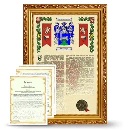 Blaszczyk Framed Armorial History and Symbolism - Gold