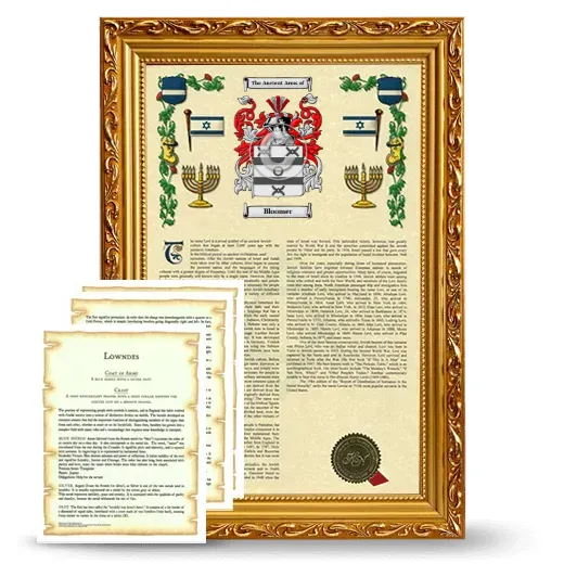 Bloomer Framed Armorial History and Symbolism - Gold