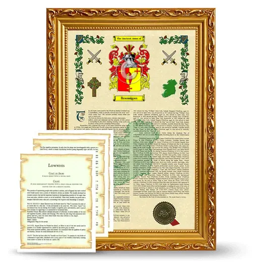 Brannigan Framed Armorial History and Symbolism - Gold