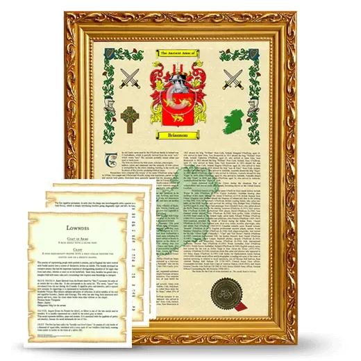 Brianson Framed Armorial History and Symbolism - Gold