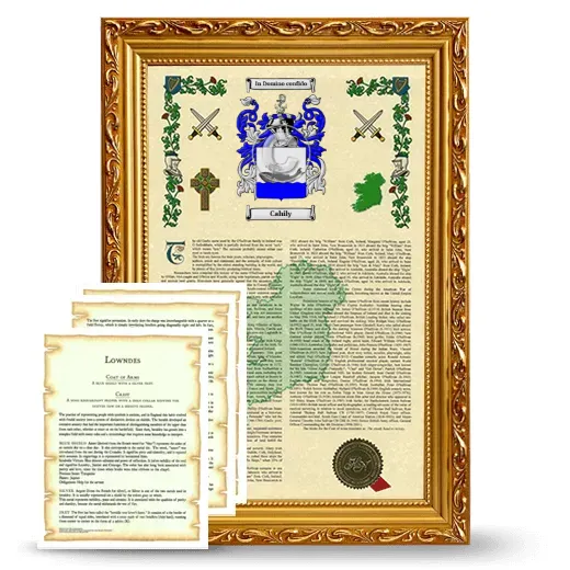 Cahily Framed Armorial History and Symbolism - Gold