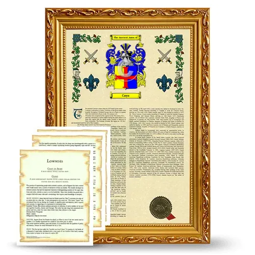 Caya Framed Armorial History and Symbolism - Gold