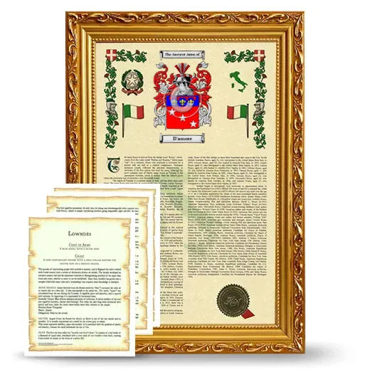 D'amore Framed Armorial History and Symbolism - Gold