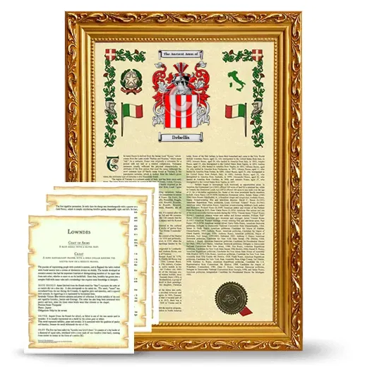 Debellis Framed Armorial History and Symbolism - Gold