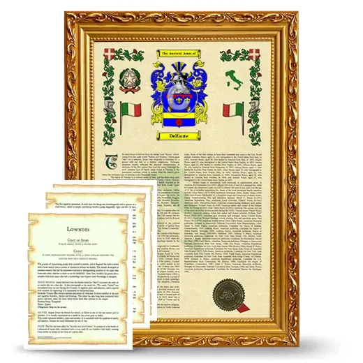 Delfante Framed Armorial History and Symbolism - Gold