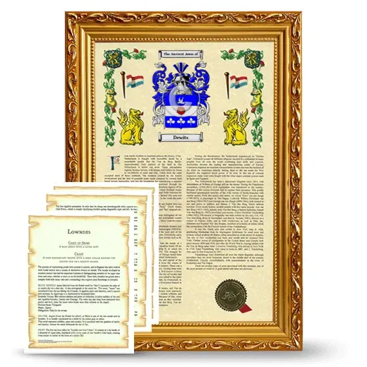 Dewits Framed Armorial History and Symbolism - Gold