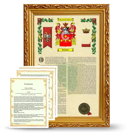 Dzianott Framed Armorial History and Symbolism - Gold
