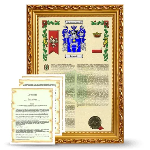 Dziedzic Framed Armorial History and Symbolism - Gold
