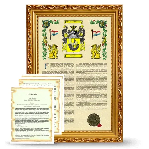 Fuster Framed Armorial History and Symbolism - Gold