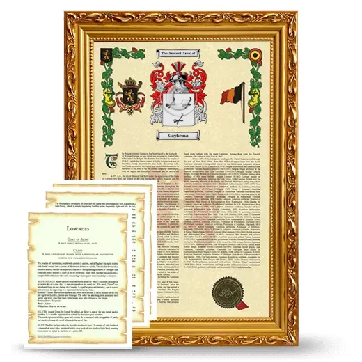 Gaykema Framed Armorial History and Symbolism - Gold