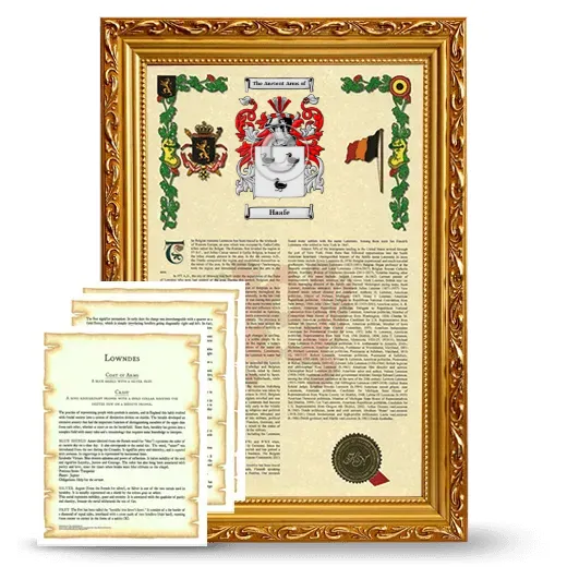 Haafe Framed Armorial History and Symbolism - Gold