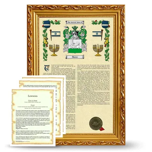 Haasz Framed Armorial History and Symbolism - Gold