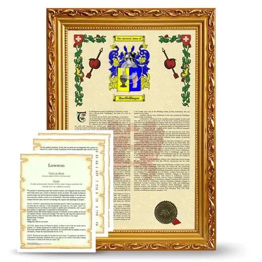 Haeffelfinger Framed Armorial History and Symbolism - Gold