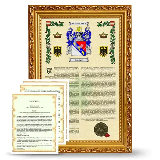 Haefner Framed Armorial History and Symbolism - Gold