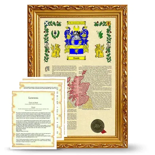 Hamle Framed Armorial History and Symbolism - Gold