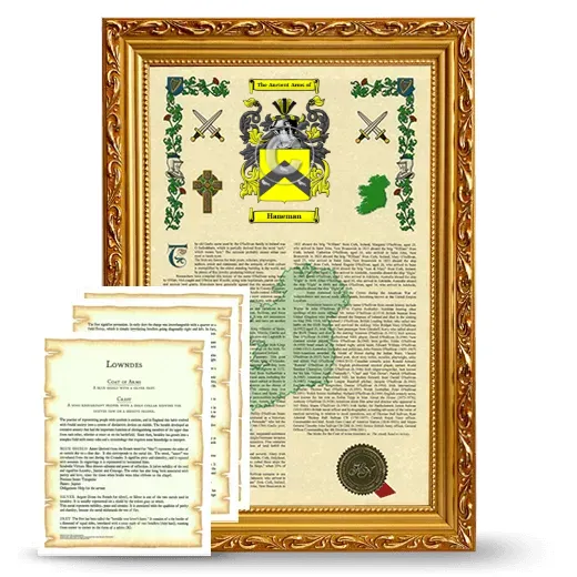 Haneman Framed Armorial History and Symbolism - Gold