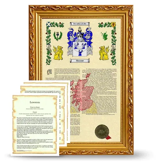 Hannoe Framed Armorial History and Symbolism - Gold