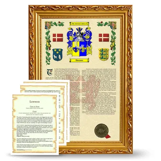 Hanson Framed Armorial History and Symbolism - Gold