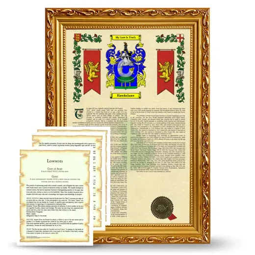 Hawkshore Framed Armorial History and Symbolism - Gold