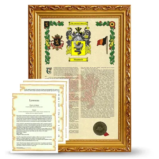 Haynault Framed Armorial History and Symbolism - Gold