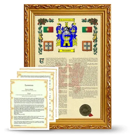 Hernandos Framed Armorial History and Symbolism - Gold