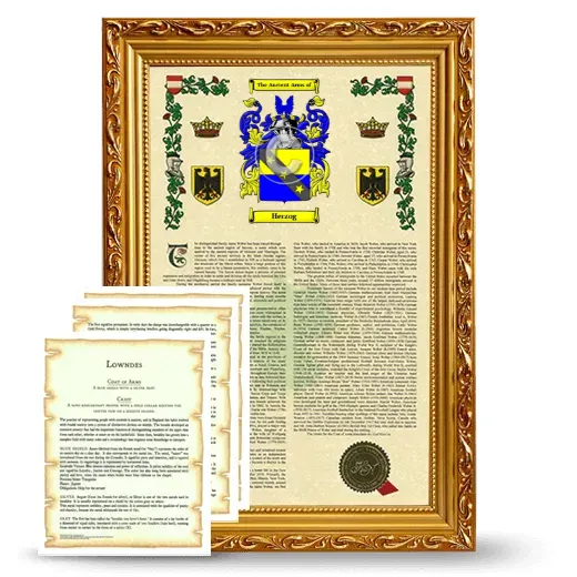 Herzog Framed Armorial History and Symbolism - Gold