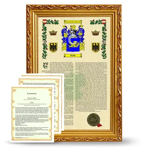 Hrabe Framed Armorial History and Symbolism - Gold