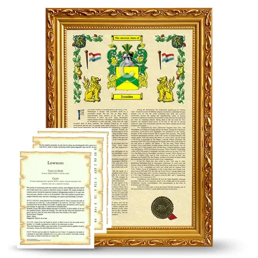 Junnius Framed Armorial History and Symbolism - Gold