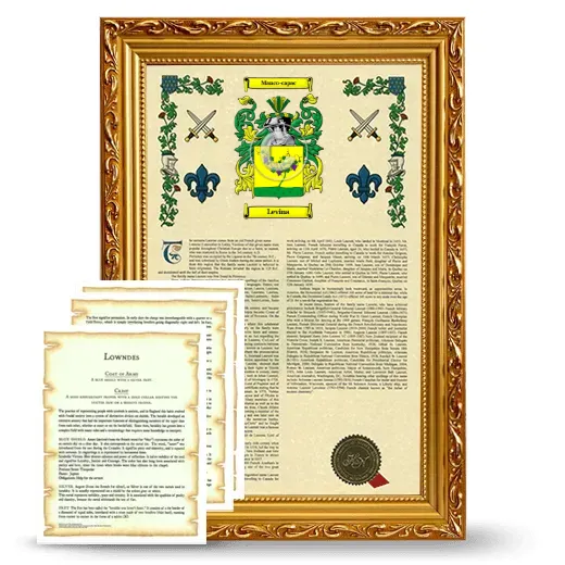 Levina Framed Armorial History and Symbolism - Gold