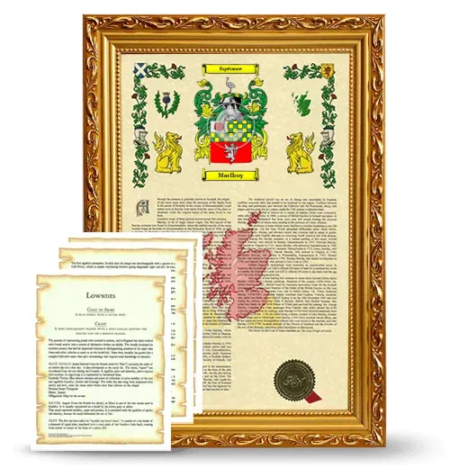 MacIlroy Framed Armorial History and Symbolism - Gold
