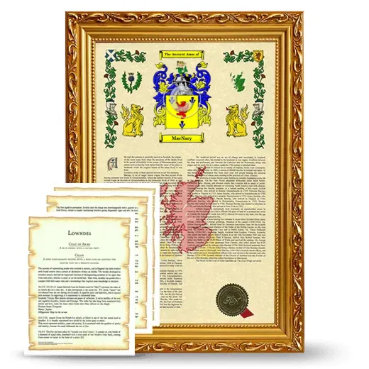 MacNary Framed Armorial History and Symbolism - Gold