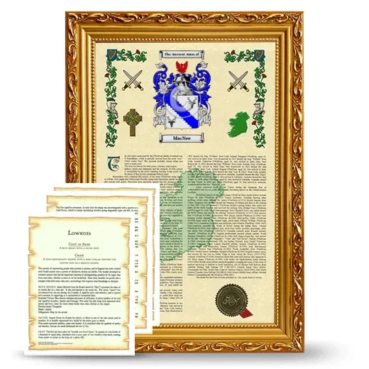 MacNee Framed Armorial History and Symbolism - Gold