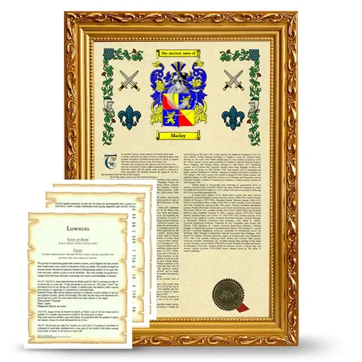 Maday Framed Armorial History and Symbolism - Gold