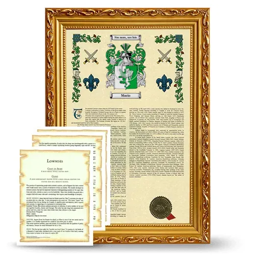 Mario Framed Armorial History and Symbolism - Gold