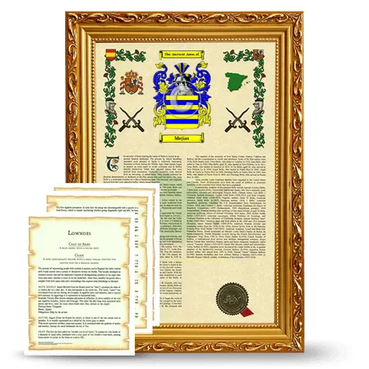 Mejias Framed Armorial History and Symbolism - Gold