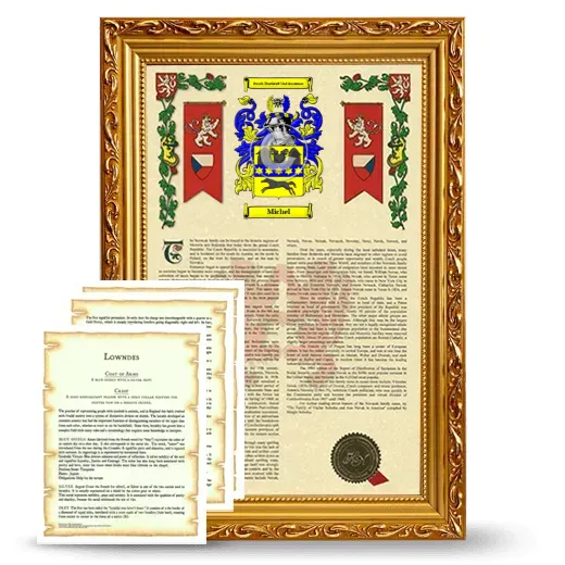Michel Framed Armorial History and Symbolism - Gold