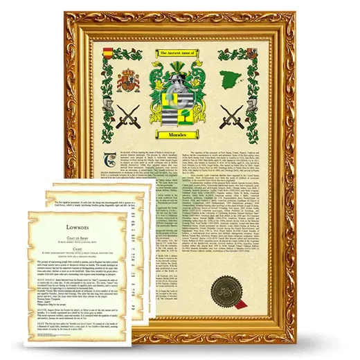Morales Framed Armorial History and Symbolism - Gold