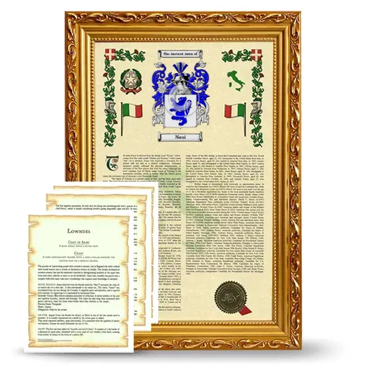 Nani Framed Armorial History and Symbolism - Gold