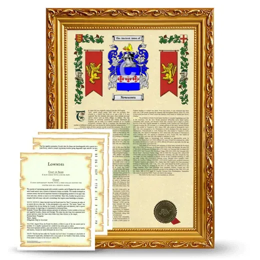 Newsown Framed Armorial History and Symbolism - Gold