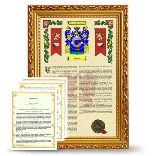 Novak Framed Armorial History and Symbolism - Gold