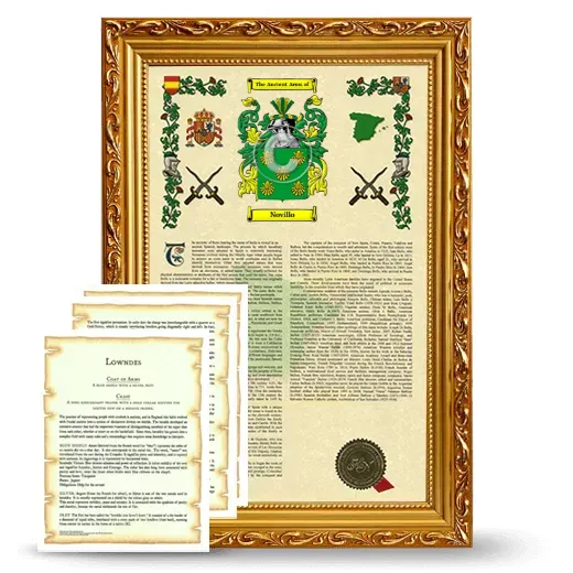 Novillo Framed Armorial History and Symbolism - Gold
