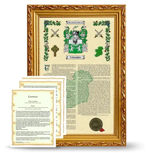 O donoghue Framed Armorial History and Symbolism - Gold