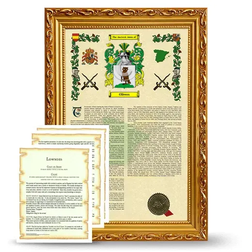Olivers Framed Armorial History and Symbolism - Gold