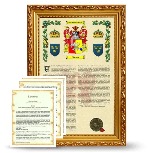 Olson-s Framed Armorial History and Symbolism - Gold