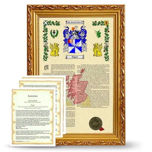 Pagert Framed Armorial History and Symbolism - Gold
